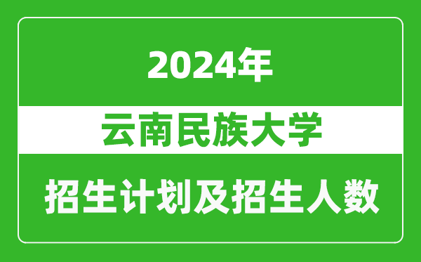 云南民族大学2024年在江苏的招生计划及招生人数