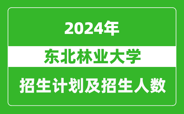 <b>东北林业大学2024年在江苏的招生计划及招生人数</b>