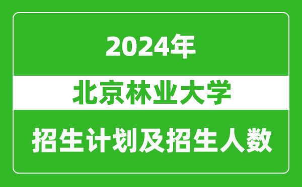 <b>北京林业大学2024年在江苏的招生计划及招生人数</b>